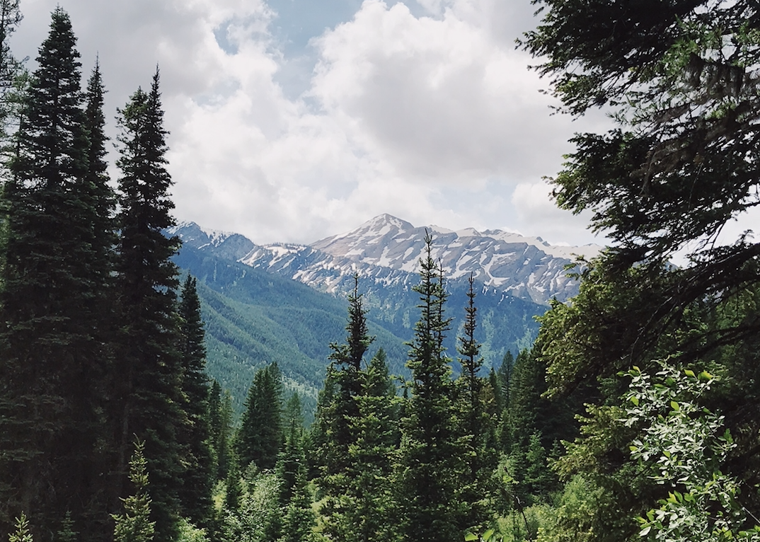 Photo of a mountain topped with snow, framed by forested area in the Great Bear Wilderness, Flathead National Forest, Montana.