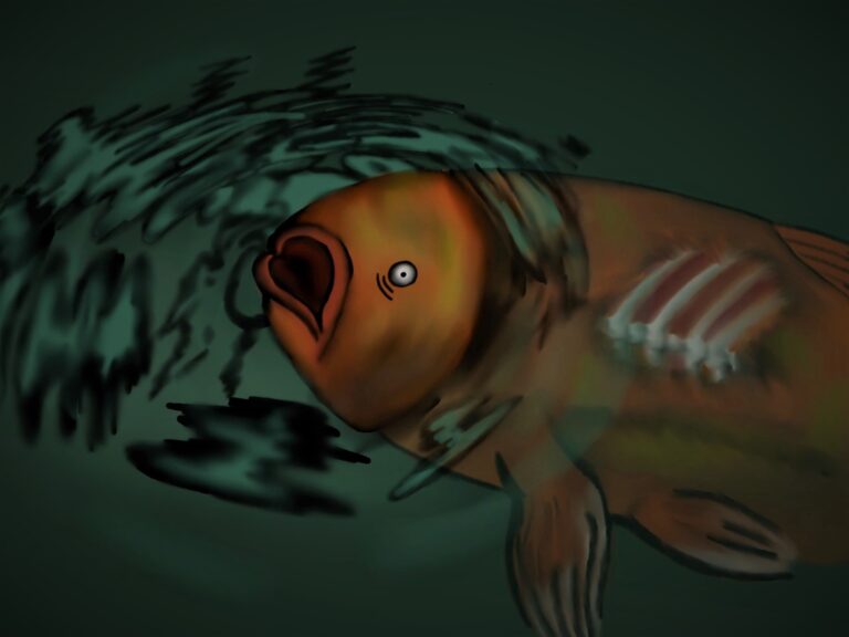 A sick fish gasping for air in dirty water.
