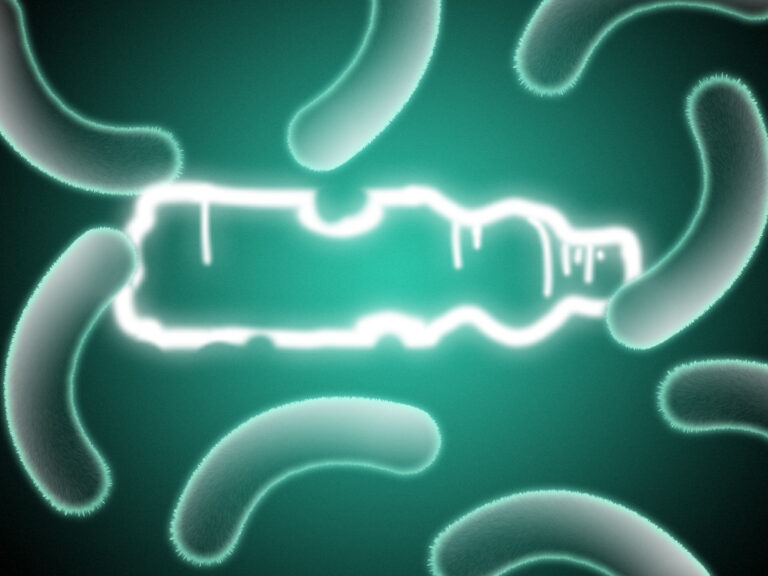 Bacteria eating a plastic bottle